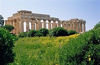 escursioni a selinunte